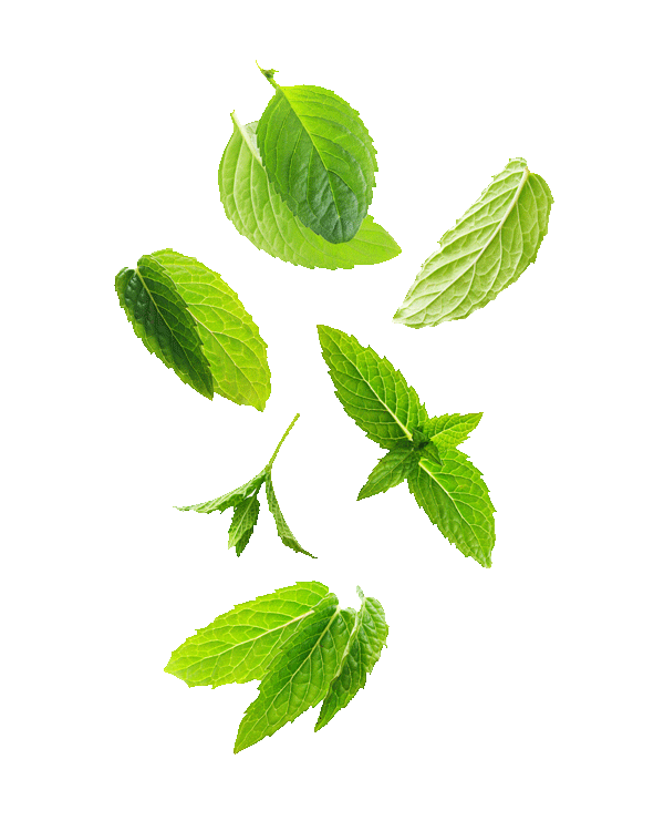 MADE BY SKI BUMS, FOR SKI BUMS.